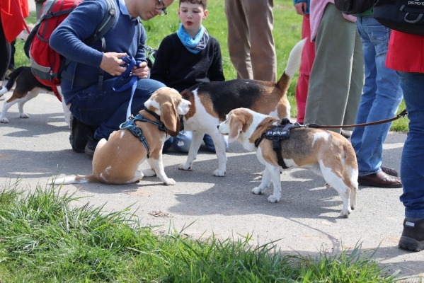 Fotos Stahlkopf (72)