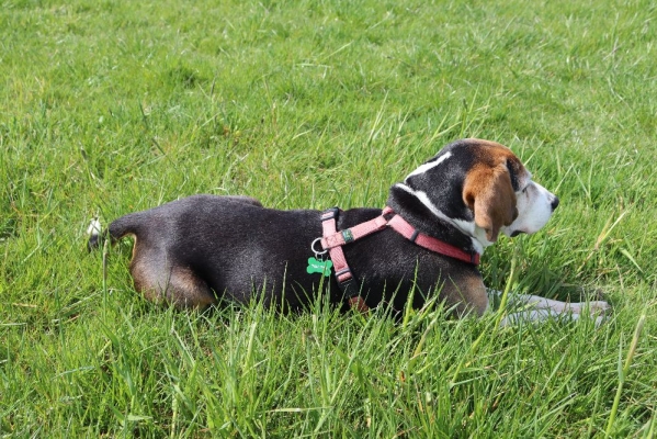 Fotos Stahlkopf (81)