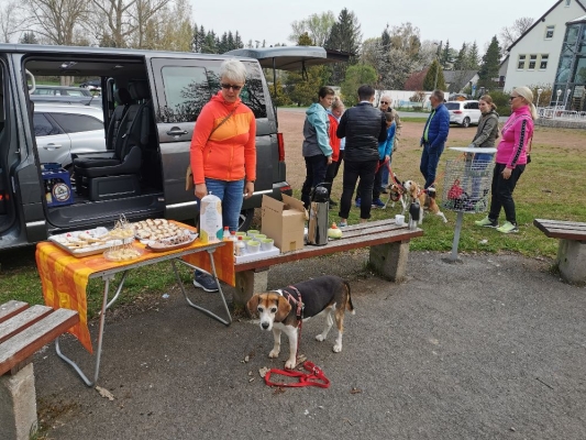 Fotos Stahlkopf (90)