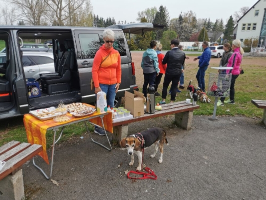 Fotos Stahlkopf (91)