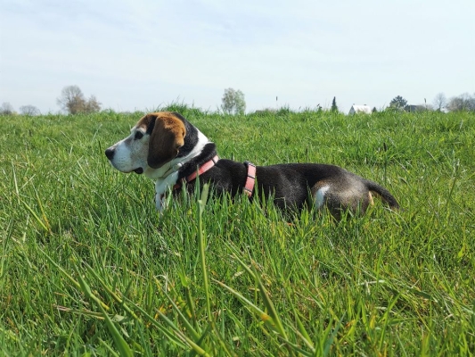 Fotos Stahlkopf (93)