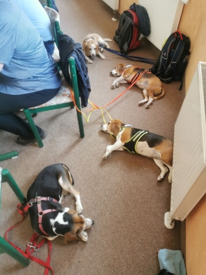 Fotos Stahlkopf (94)