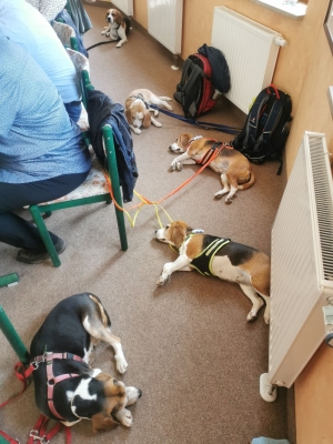 Fotos Stahlkopf (95)