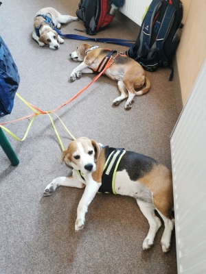 Fotos Stahlkopf (98)