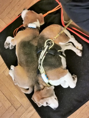 IMG_20221211_123623_1