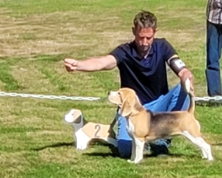 Martha - Vorzüglich