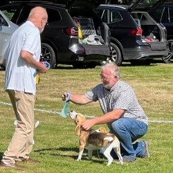 Nele - Naila vom Colditzer Heimatturm