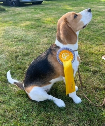 Paula - 2. Platz Jüngstenklasse