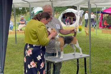 Nele mit Zuchtrichterin A. Keepence - Keyte (GB)