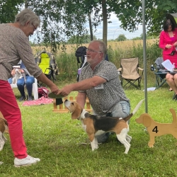 Nele 4. Platz – vorzüglich