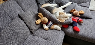 1990859495_20230127_114322_2891331