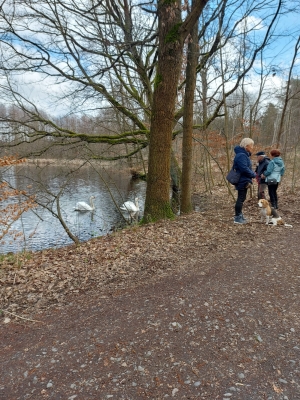 WhatsApp Bild 2024-03-17 um 12.28.18_eea2127c