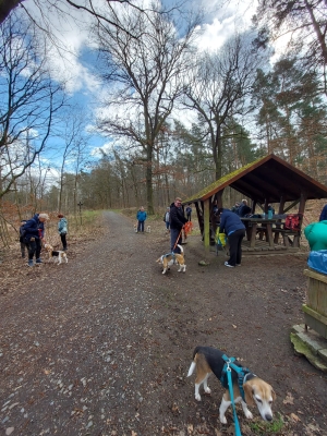 WhatsApp Bild 2024-03-17 um 12.28.21_88a8dab8