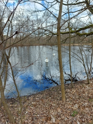 WhatsApp Bild 2024-03-17 um 12.28.27_baafed1d