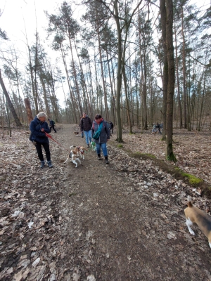 WhatsApp Bild 2024-03-17 um 12.28.29_c54a2f5f