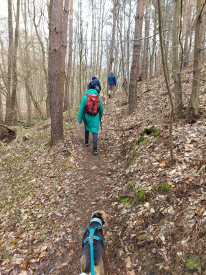 WhatsApp Bild 2024-03-17 um 12.28.30_b061ac32