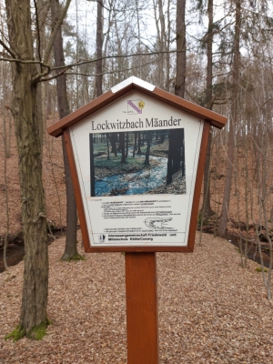 WhatsApp Bild 2024-03-17 um 12.28.31_8c07da41