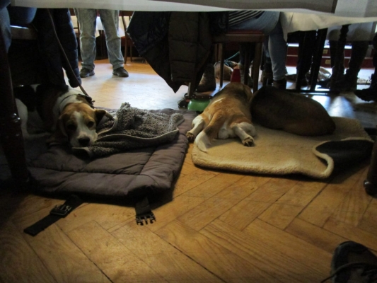 WhatsApp Bild 2024-03-17 um 19.33.38_69bd833f