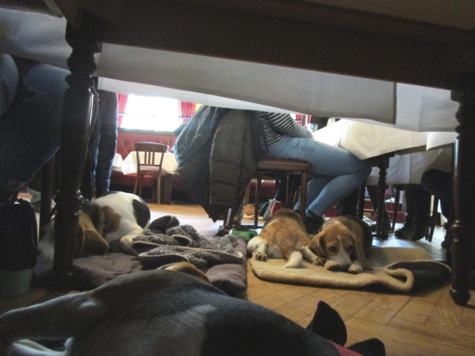 WhatsApp Bild 2024-03-17 um 19.34.12_f09d1f8c