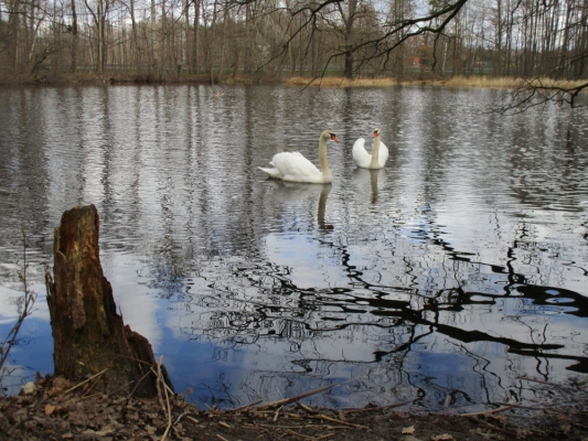 WhatsApp Bild 2024-03-17 um 19.34.27_e9644807