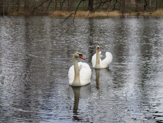 WhatsApp Bild 2024-03-17 um 19.34.52_3518df7d