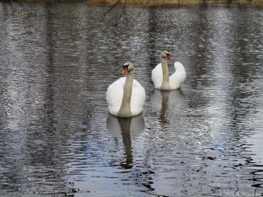 WhatsApp Bild 2024-03-17 um 19.34.52_5b4f98a6