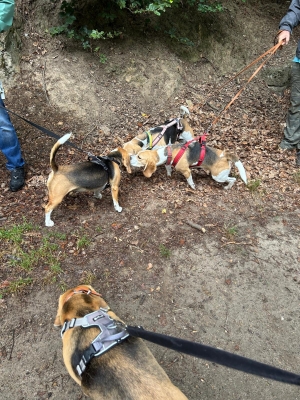 WhatsApp Bild 2024-07-28 um 17.13.50_7196be41