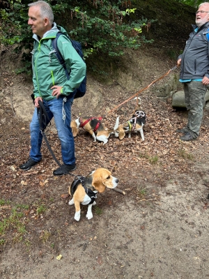 WhatsApp Bild 2024-07-28 um 17.13.50_99aaf7b4