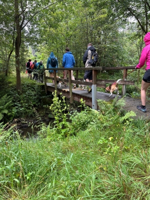 WhatsApp Bild 2024-07-28 um 17.13.51_5eea78dd