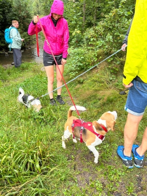 WhatsApp Bild 2024-07-28 um 17.13.51_b4da1675