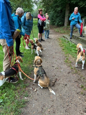 WhatsApp Bild 2024-07-28 um 17.13.51_d11b2ad1