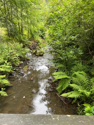 WhatsApp Bild 2024-07-28 um 17.13.51_ecaa711a