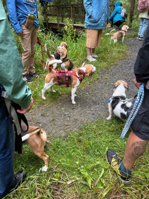 WhatsApp Bild 2024-07-28 um 17.13.51_fd9cd1ec