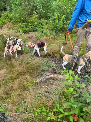 WhatsApp Bild 2024-07-28 um 17.13.52_c193724e