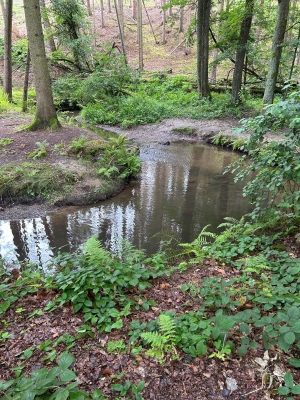 WhatsApp Bild 2024-07-28 um 17.16.52_1bb760f2