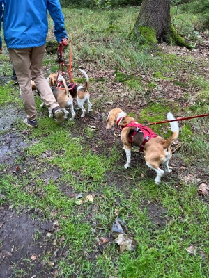 WhatsApp Bild 2024-07-28 um 17.16.53_c533ac23