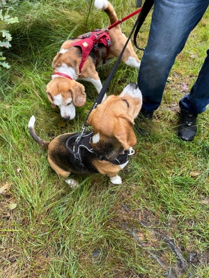 WhatsApp Bild 2024-07-28 um 17.16.55_01c6b7fd