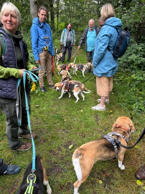 WhatsApp Bild 2024-07-28 um 17.16.55_740b49a9