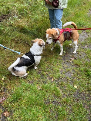 WhatsApp Bild 2024-07-28 um 17.16.55_785d9f0b