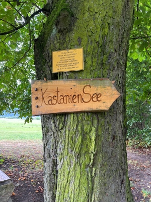 WhatsApp Bild 2024-07-28 um 17.16.55_7b608dda