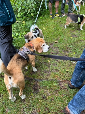 WhatsApp Bild 2024-07-28 um 17.16.55_92a288b2