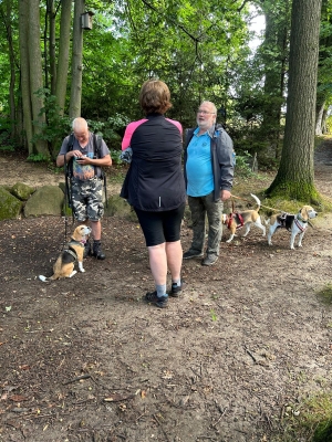 WhatsApp Bild 2024-07-28 um 17.16.56_0eefabb4