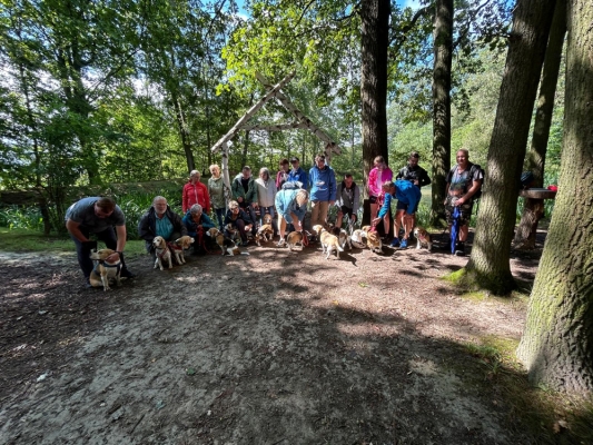 WhatsApp Bild 2024-07-28 um 17.16.57_d273ff29