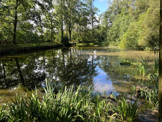 WhatsApp Bild 2024-07-28 um 17.16.57_d88cf030