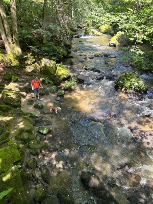 WhatsApp Bild 2024-07-28 um 17.16.58_44e5148b