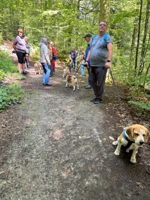 WhatsApp Bild 2024-07-28 um 17.16.58_b5bfa6e6