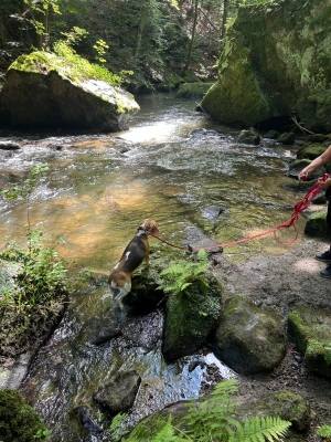 WhatsApp Bild 2024-07-28 um 17.16.59_05cc56a7