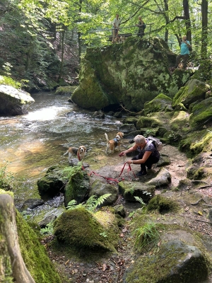 WhatsApp Bild 2024-07-28 um 17.16.59_41f80927