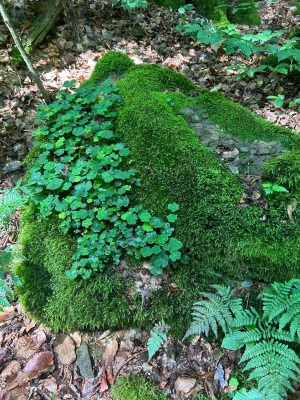 WhatsApp Bild 2024-07-28 um 17.20.29_97a9225e