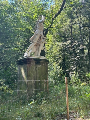 WhatsApp Bild 2024-07-28 um 17.20.30_525afd0a